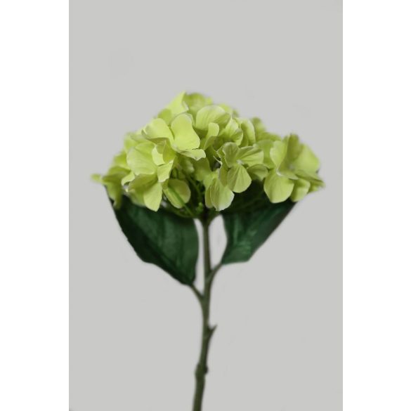 Zöld hortenzia 32cm