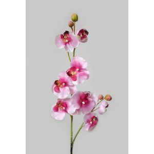 Fehér-rózsaszín mű orchidea 80cm