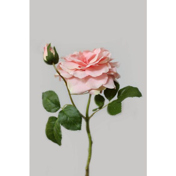 Lazac színű mű kerti rózsa 36cm