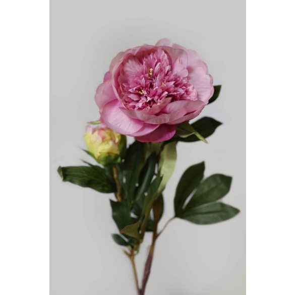 Rózsaszín bazsarózsa 90cm