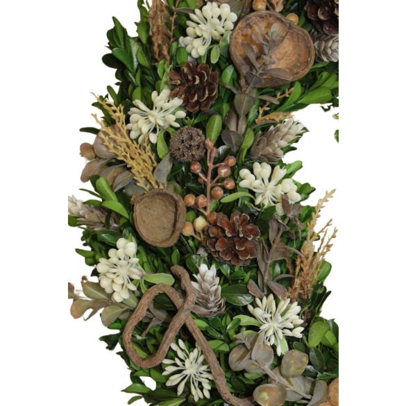 Bukszus koszorú ajtóra, 50 cm