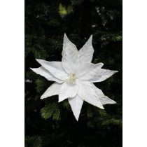 Fehér bársony mikulásvirág 25cm