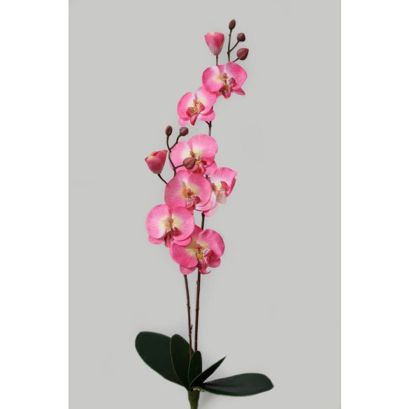 Halvány rózsaszín két szárú mű orchidea 67cm