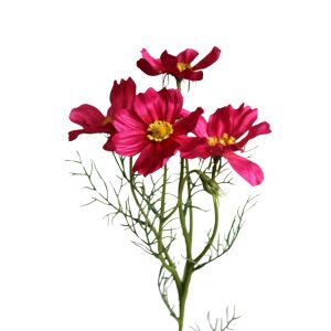 Rózsaszín mű cosmos (pillangóvirág) 61cm