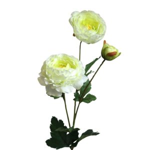 Fehér mű ranunculus 64cm