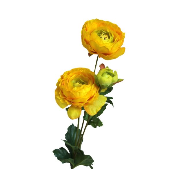 Sárga mű ranunculus 64cm