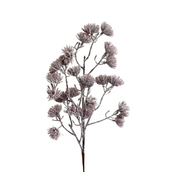 Barna havas ág 58cm