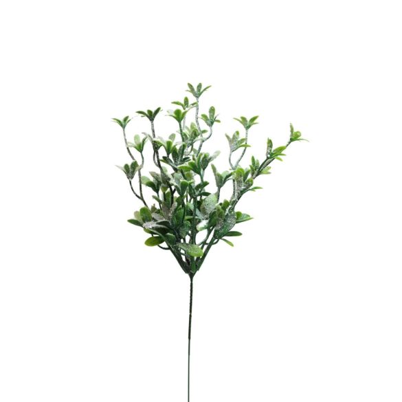 Havas mű gyógynövények 30cm