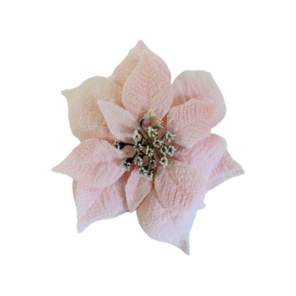 Havas krém színű mikulásvirág csipessze 22 cm