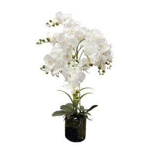 Fehér mű orchidea virágcserépben Real touch 150cm