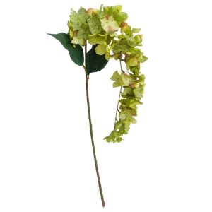 Zöld mű kúszó hortenzia 89cm