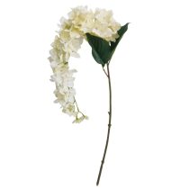 Fehér mű kúszó hortenzia 89cm