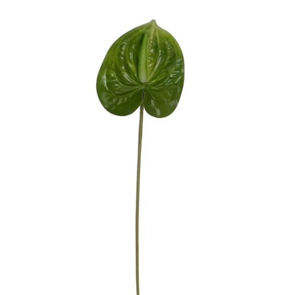 Zöld mű anturium 60cm
