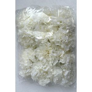 Fehér szegfű fej 24db 10cm