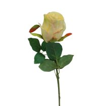 Krém színű műrózsa 50cm