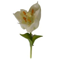 Fehér mű tulipán 24cm
