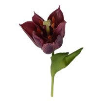 Lila mű tulipán 24cm