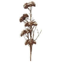 Barna-arany bogyós ág 53 cm