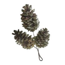 Tobozok mohával 3 db