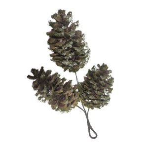 Tobozok mohával 3 db