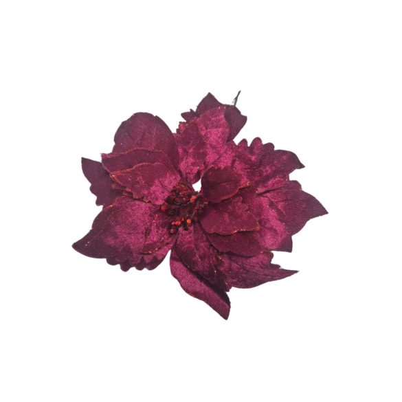 Burgundi mikulásvirág 24cm