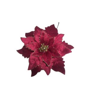 Piros-arany mikulásvirág 24 cm