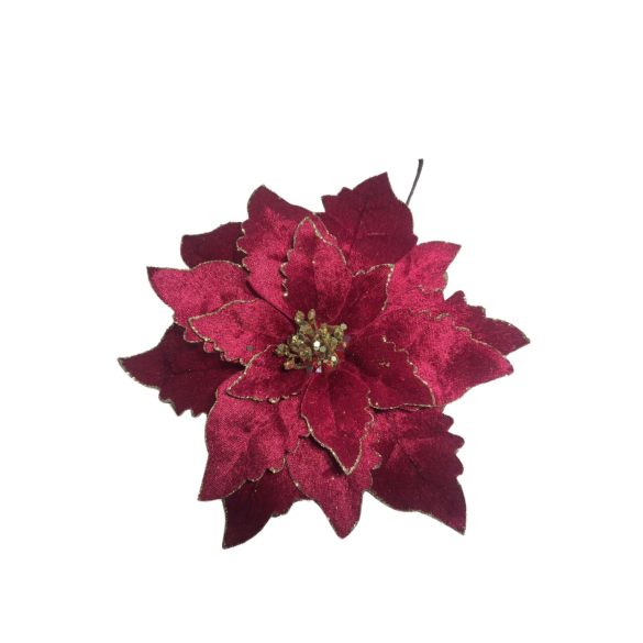 Piros-arany mikulásvirág 24 cm