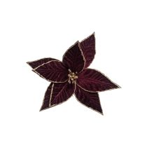 Bordó-arany mikulásvirág 24cm