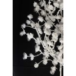 Havas fehér ág 68 cm