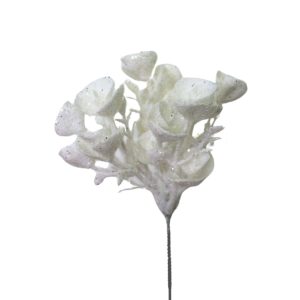 Fehér havas eukaliptusz 27cm