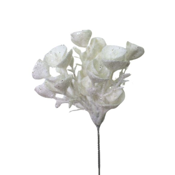 Fehér havas eukaliptusz 27cm