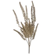 Pezsgőszínű levendula 51cm