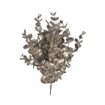 Pezsgőszínű eukaliptusz 36cm