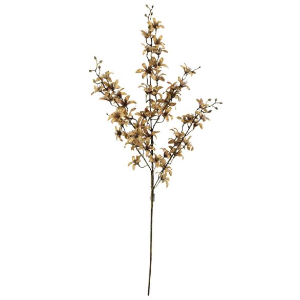 Arany virágok mini orchidea 89cm