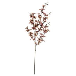 Rózsaszín virágok mini orchidea 89cm