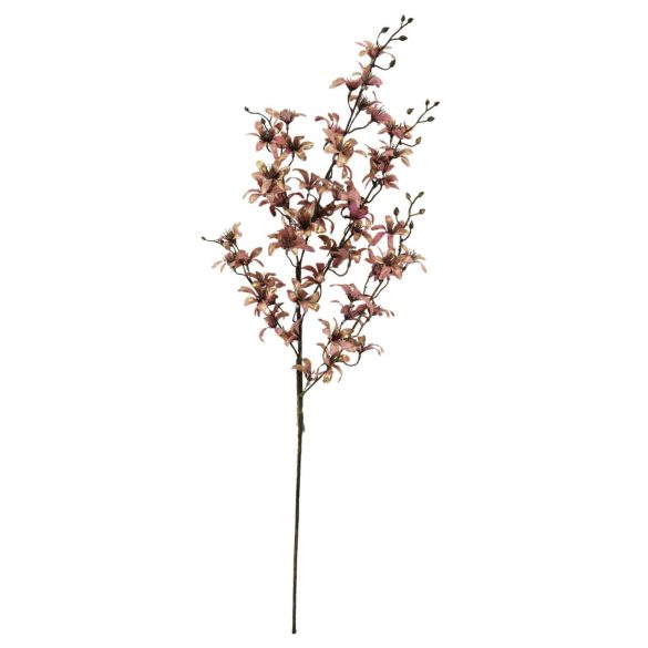 Rózsaszín virágok mini orchidea 89cm