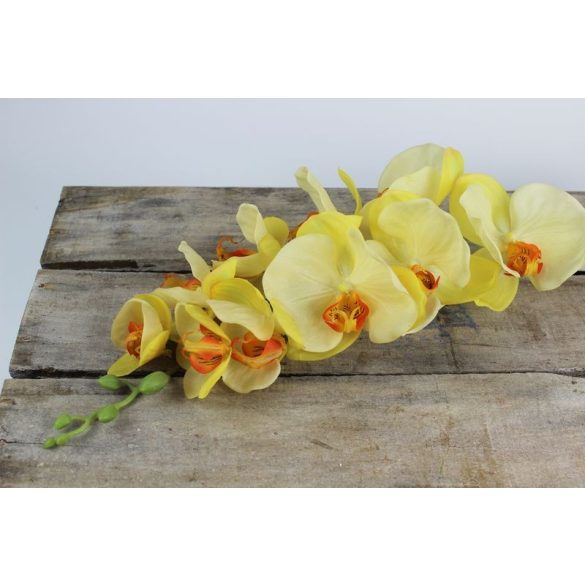 Sárga mű orchidea levelekkel és gyökérrel 70cm