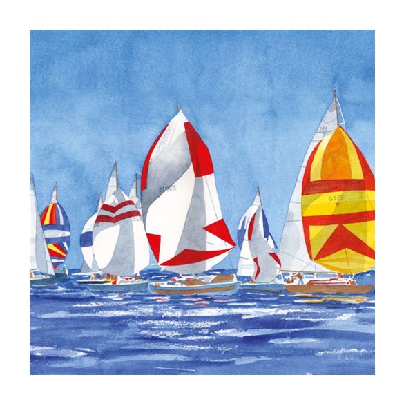 PPD.C133002625 Regatta papírszalvéta 33x33cm, 20db-os