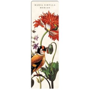 FRI.67493 Könyvjelző 5x16cm,Maria Sibylla Merian:Bird