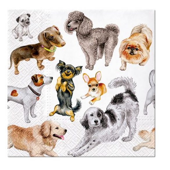 P.W.SDL132600 Dogs Happiness papírszalvéta 33x33cm,20db-os