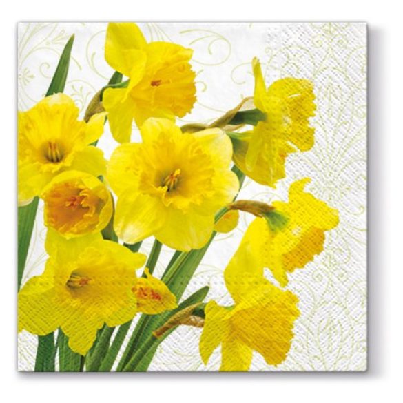 P.W.SDL280000 Yellow Daffodils papírszalvéta 33x33cm,20db-os