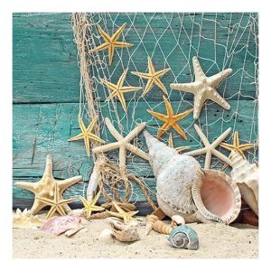 AMB.13310365 Starfish papírszalvéta 33x33cm, 20db-os