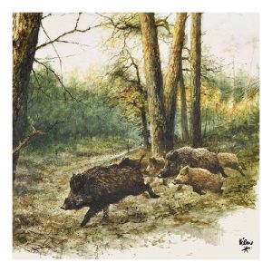 AMB.13311020 Wild Boars in the Woods papírszalvéta 33x33cm,20db-os