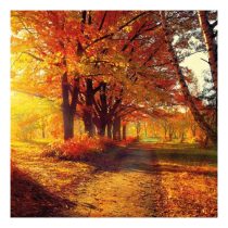 AMB.13309640 Autumn Park papírszalvéta 33x33cm,20db-os