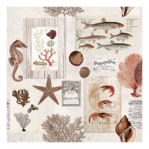   AMB.13311330 Sepia Sea cream papírszalvéta 33x33cm, 20db-os