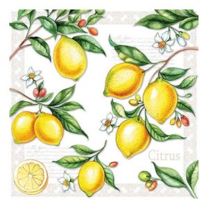 AMB.13311520 Citrus papírszalvéta 33x33cm,20db-os