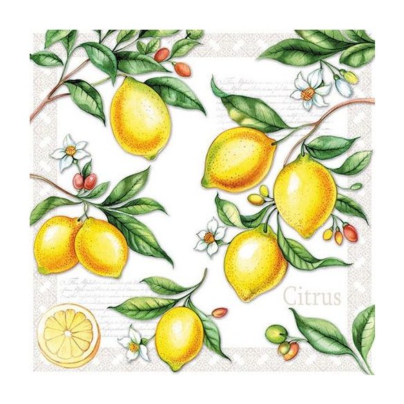 AMB.13311520 Citrus papírszalvéta 33x33cm,20db-os