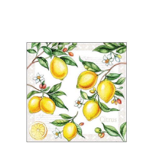 AMB.12511520 Citrus papírszalvéta 25x25cm,20db-os