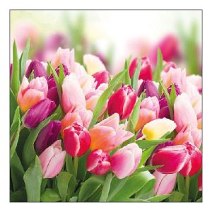 AMB.13312730 Glorious Tulips papírszalvéta 33x33cm,20db-os