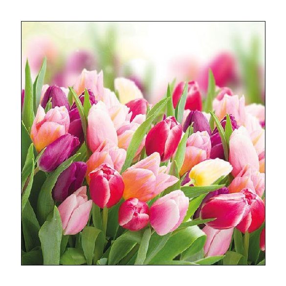 AMB.13312730 Glorious Tulips papírszalvéta 33x33cm,20db-os